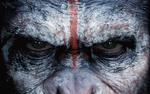 Avatar von ApeofTheApes