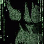 Avatar von eLove