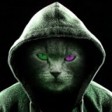 Avatar von Samingo